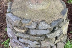 Moth-on-stone