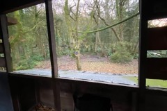 View-from-Bird-Hide