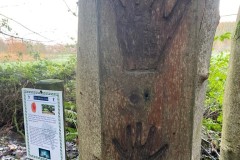 Worry-tree2