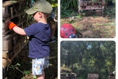 Bug-hotel-renovate-8th-Aug-2