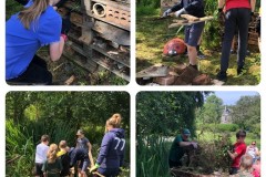 Bug-hotel-renovate-8th-Aug-3