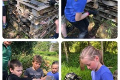 Bug-hotel-renovate-8th-Aug-4