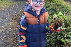 Planting