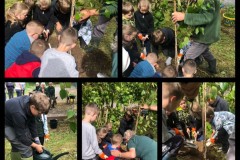 tree-planting2
