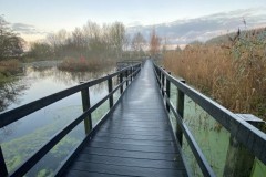 Wetland