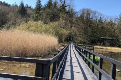 Boardwalk